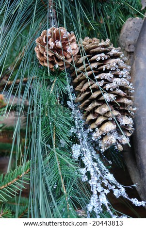 Pine branch with cones and artificial snow-like crystals