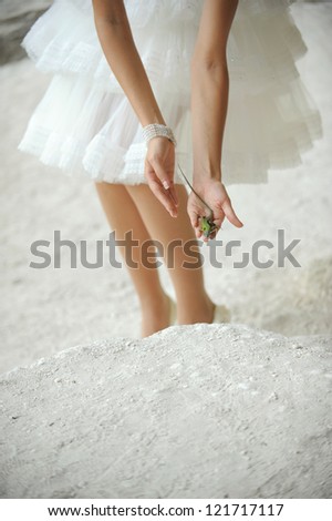 bride sets free green lizard