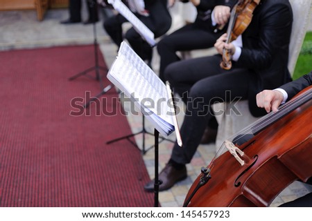 musicians playing cello and violin in yard