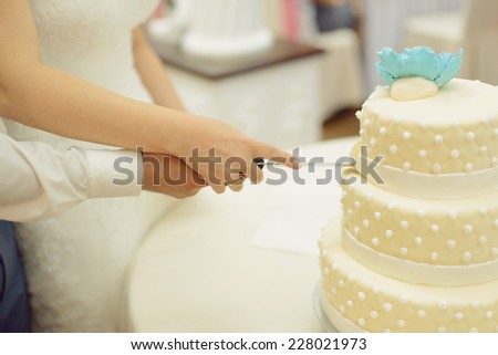 newlyweds cutting cake with blue flower