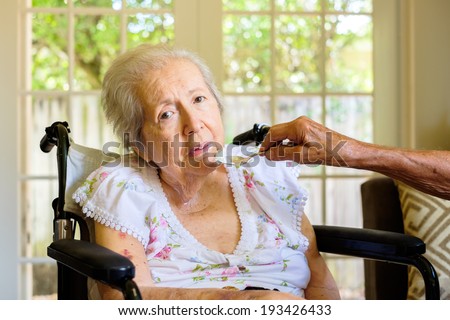 Elderly eighty plus year old woman in a wheel chair being fed in a home setting.