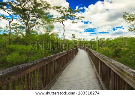 Beautiful landscape of a nature trail boardwalk in the Grand Cypress Preserve in the Florida Everglades.