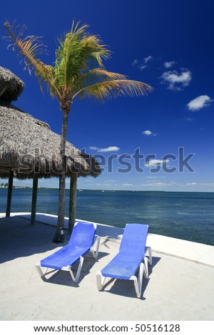 Beach lounge chairs in Key Largo on the Florida Bay side with a palm tree and thatched hut in the background with a polarized blue sky.