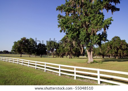 White Picket Fence on a Horse Farm