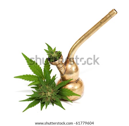 Ganja Cannabis