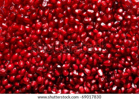 red pomegranate seeds texture