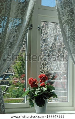 Racks full of dried codfish behind the window with vase of flowers, Svolvaer, Lofoten, Norway