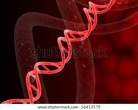 Dna Structure 3d. of dna structure in 3d on
