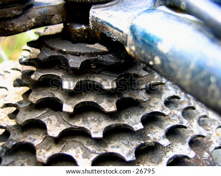 Bike gears after a ride.