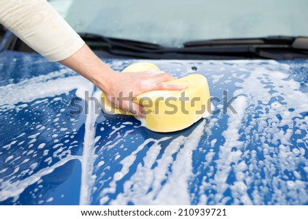 The process of cleaning the hood of the car with the help of shampoo and yellow sponges in the yard