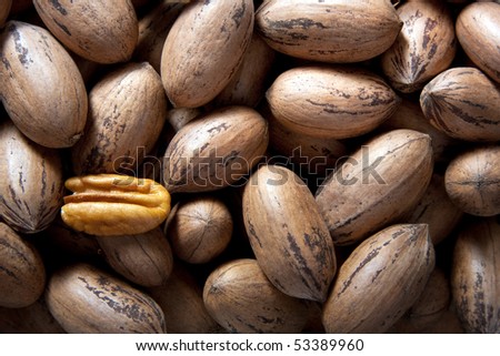 Pecan nuts in and out of shells