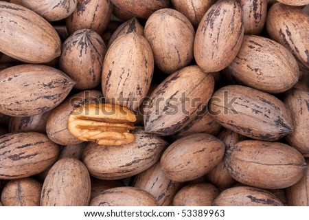 Pecan nuts in and out of shells
