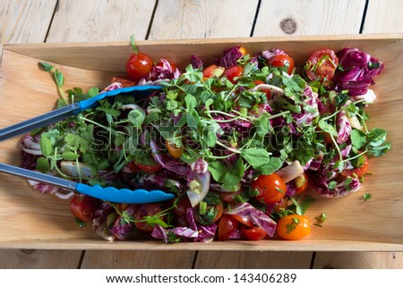 Healthy diet: colourful fresh spinach, red radicchio and tomato salad with parsley and chives.