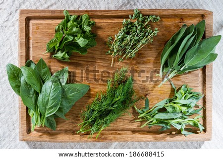 Fresh mint, thyme, sage, basil, dill and tarragon from the vegetable garden, ready to be used.