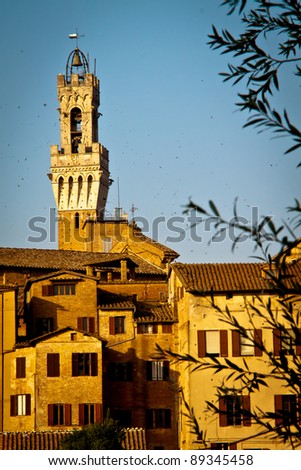 The top of the famous Torre del Mangia in Piazza del Campo, Siena, Italy, seen from north west. Flocks of birds all around it. Portrait orientation.
