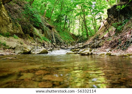 cold mountain creek in the Crimean mountains