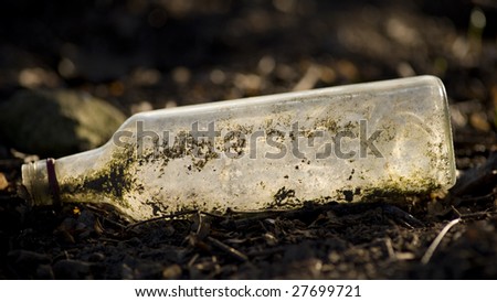 Glass bottle in the Nature - Nature vs Mankind