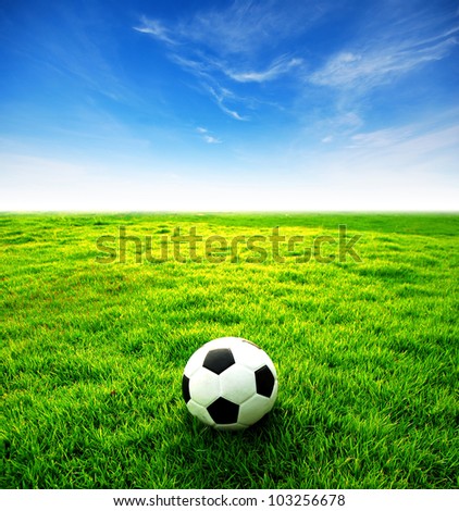 football field soccer stadium on the green grass blue sky sport game background for design