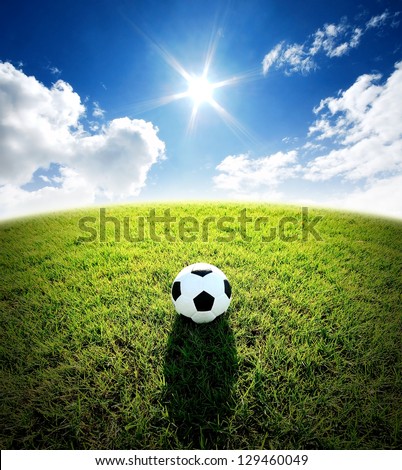 Football Field Soccer Stadium On The Green Grass Blue Sky Sport Game Background For Design