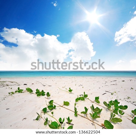 ivy sea beach blue sky sand sun daylight relaxation landscape viewpoint for design postcard and calendar in thailand