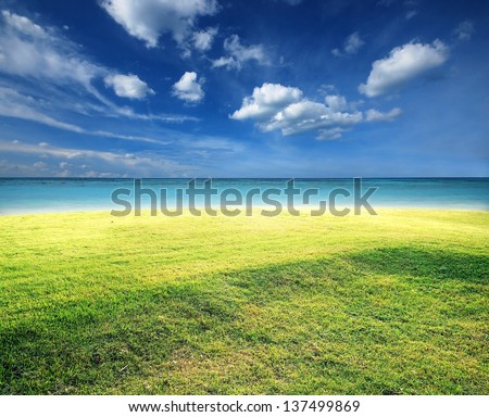 Green grass river lake sea nature background blue sky landscape