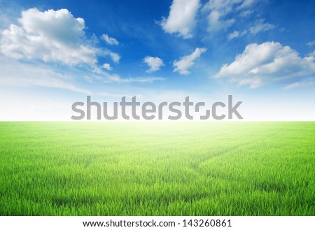 green grass blue sky cloud cloudy landscape background