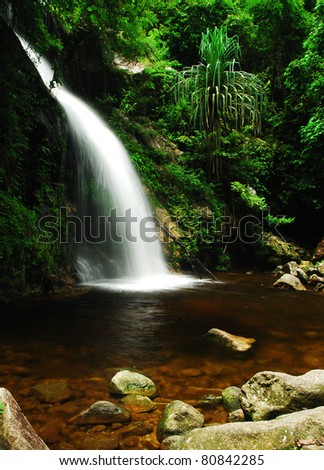 waterfall forest green leaf water fall stone in Thailand