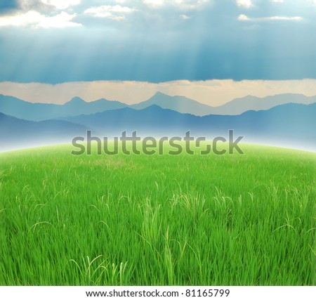 Green grass Beam gray sky cloudy hope success background