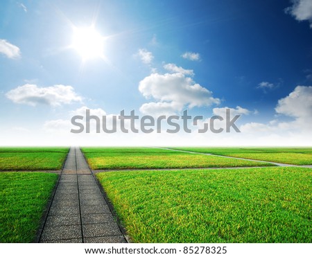 Alone way green grass cloudy blue sky to destination and green way to the future