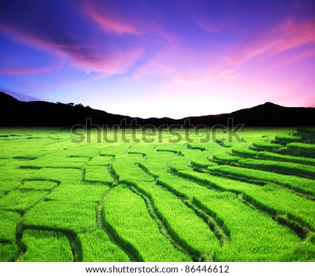 Beautiful Farm Landscape