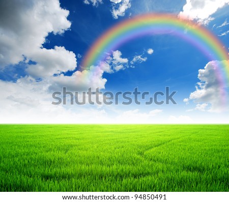 Rice field green grass blue sky cloud cloudy landscape background yellow rainbow Rice field green grass blue sky cloud cloudy landscape background yellow rainbow