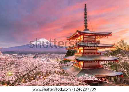 Fujiyoshida, Japan view of Mt. Fuji and pagoda in spring season with cherry blossoms at dusk.
