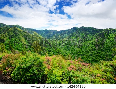 Summer landscape in the Smoky Mountains near Gatlinburg, Tennessee.