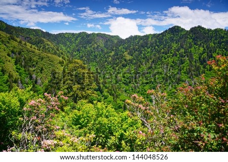Summer landscape in the Smoky Mountains near Gatlinburg, Tennessee.