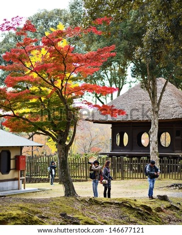 NARA, JAPAN - NOVEMBER 18: Photographers under fall foliage November 18, 2012 in Nara, JP.  Viewing the fall foliage is a cultural pastime in Japan dating from antiquity.