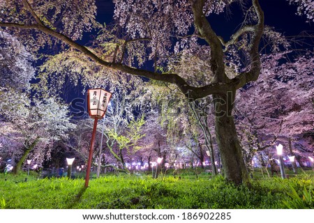 Kyoto, Japan at Hirano Temple festival grounds in spring. The lantern reads \