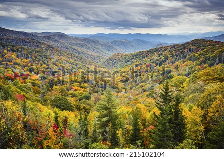 Smoky Mountains National Park, Tennessee, USA autumn landscape at Newfound Gap.