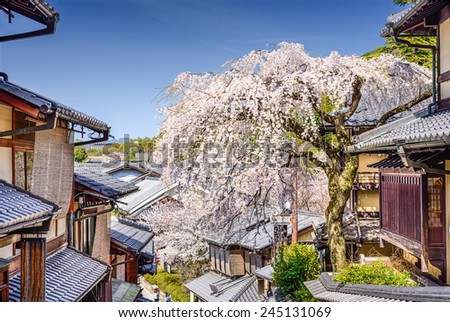 Kyoto, Japan in the Higashiyama district with cherry blossoms the springtime.