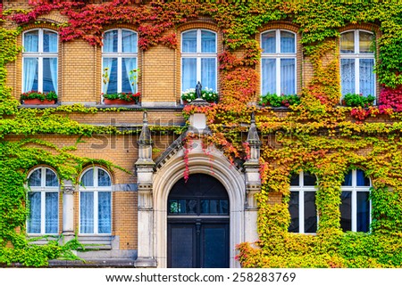 Vine covered building facade in Berlin, Germany.