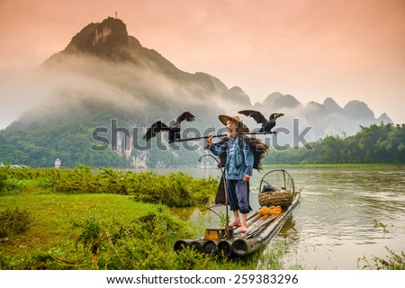 A traditional cormorant fisherman works on the Li River Yangshuo, China.