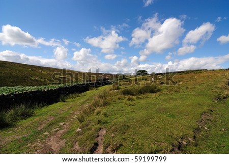 The green moorlands in the North Yorkshire, England countryside.