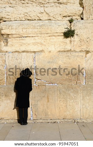 JERUSALEM - FEBRUARY 19: A hassidic Jew prays at the wailing wall in the Old City February 19, 2012 in Jerusalem, Israel. The wall is the holiest site in Judasim.