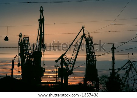 Silhouette of cranes in the sea-port