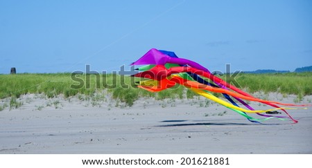 Giant kite takes off in Long Beach