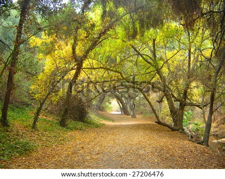 This is a nature trail during fall in a park in California.