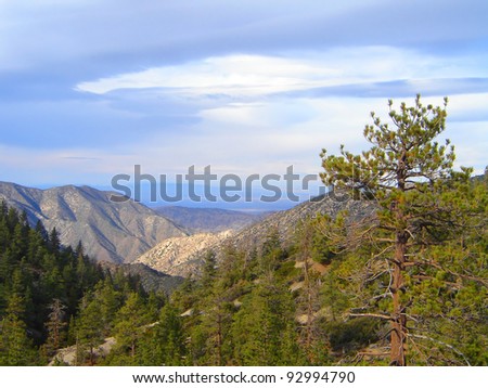 This is from the San Gabriel Mountains of California.