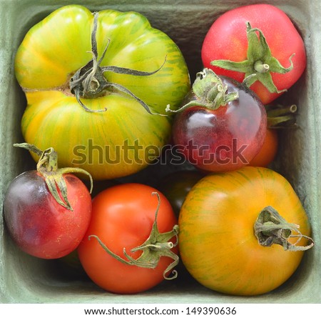 Basket of colorful heirloom tomatoes in square format