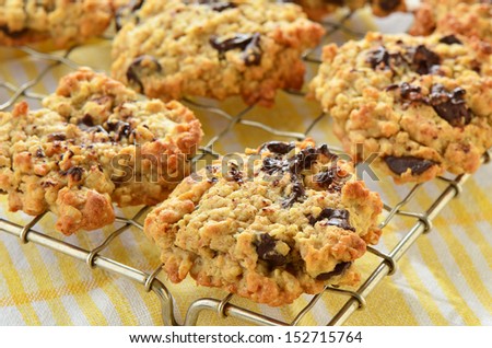 Fresh baked chocolate chip oatmeal cookies on metal cooling rack