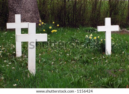 White Crosses