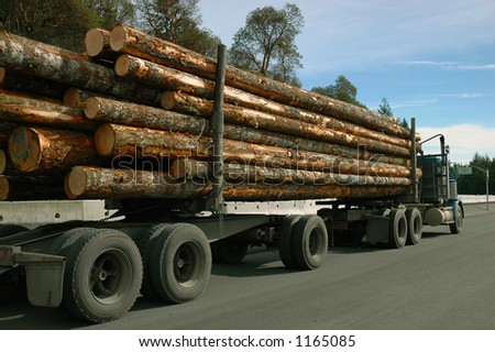 Logging truck loaded with freshly cut logs on their way to the mill for processing